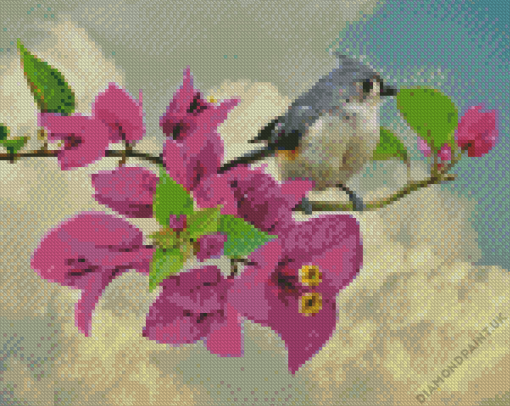 Tufted Titmouse And Bougainvillea Diamond Painting