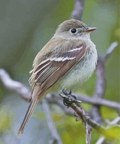 Tyrant Flycatchers On Stick Diamond Painting