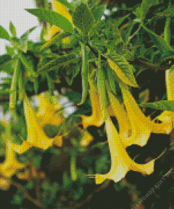 Yellow Angels Trumpet Tree Diamond Painting