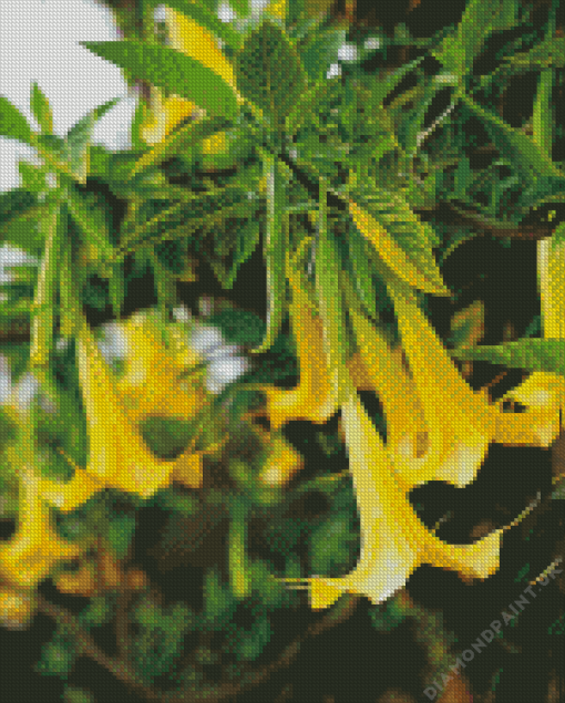 Yellow Angels Trumpet Tree Diamond Painting