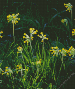 Yellow Wild Cowslips Flowers Diamond Painting