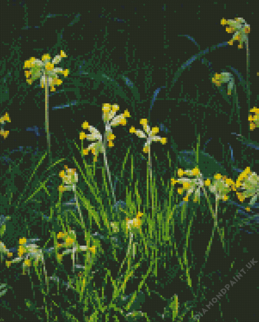 Yellow Wild Cowslips Flowers Diamond Painting