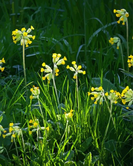 Yellow Wild Cowslips Flowers Diamond Painting