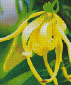 Ylang Ylang Diamond Painting