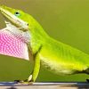 Anole Green Lizard Diamond Painting