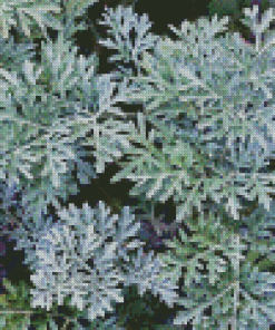 Artemisia Plant Diamond Painting