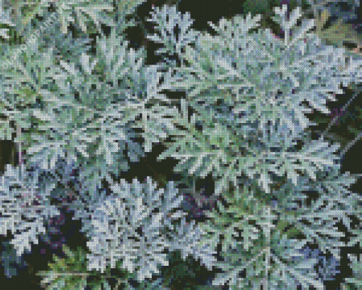 Artemisia Plant Diamond Painting