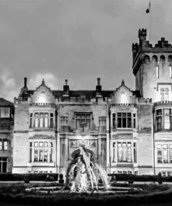 Black And White Lough Eske Castle Diamond Painting