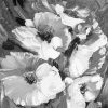 Black And White Flowers Diamond Painting