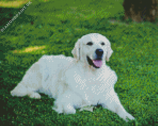 Cream Retriever Diamond Painting