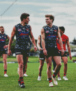 Essendon Players Diamond Painting