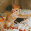 Gerbil Diamond Painting