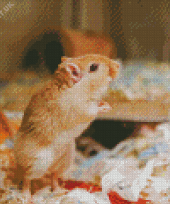 Gerbil Diamond Painting