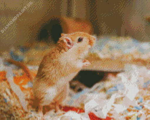 Gerbil Diamond Painting