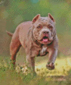 Grey American Bully Diamond Painting