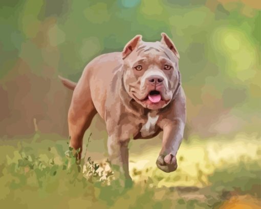 Grey American Bully Diamond Painting