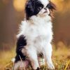 Japanese Chin Puppy Diamond Painting