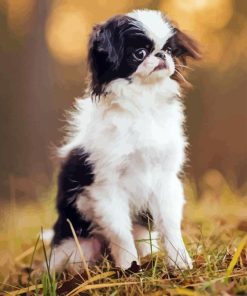 Japanese Chin Puppy Diamond Painting