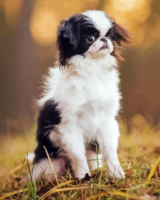 Japanese Chin Puppy Diamond Painting