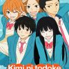 Kimi Ni Todoke Diamond Painting