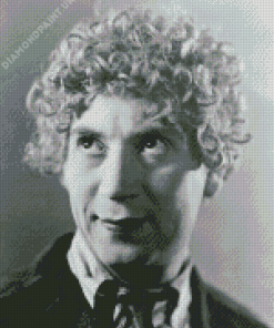 Monochrome Harpo Marx Diamond Painting