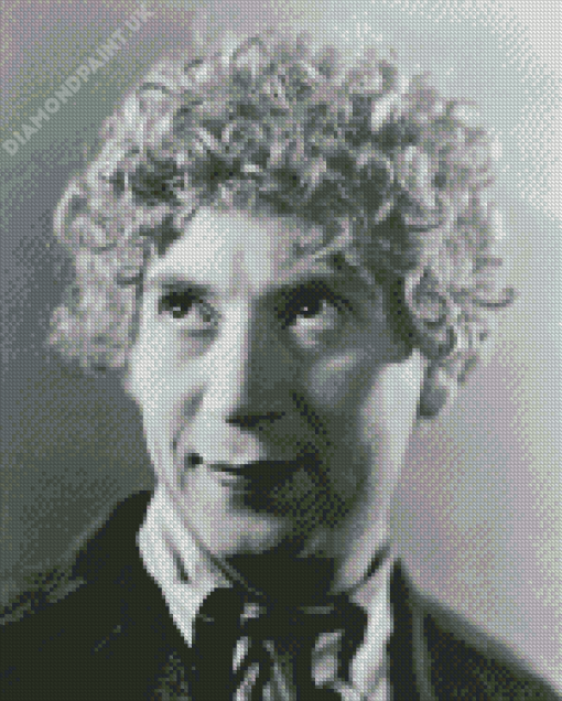 Monochrome Harpo Marx Diamond Painting