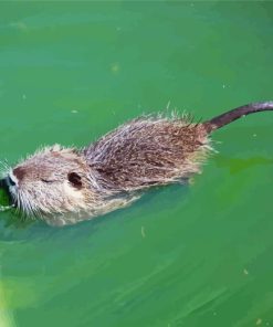 Nutria Swimming Diamond Painting