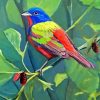 Painted Bunting Art Diamond Painting