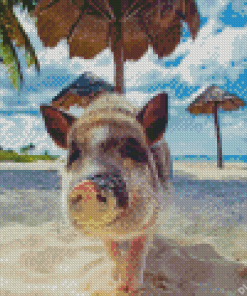 Pig In The Beach Diamond Painting