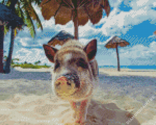 Pig In The Beach Diamond Painting