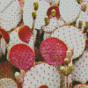 Prickly Pears Diamond Painting