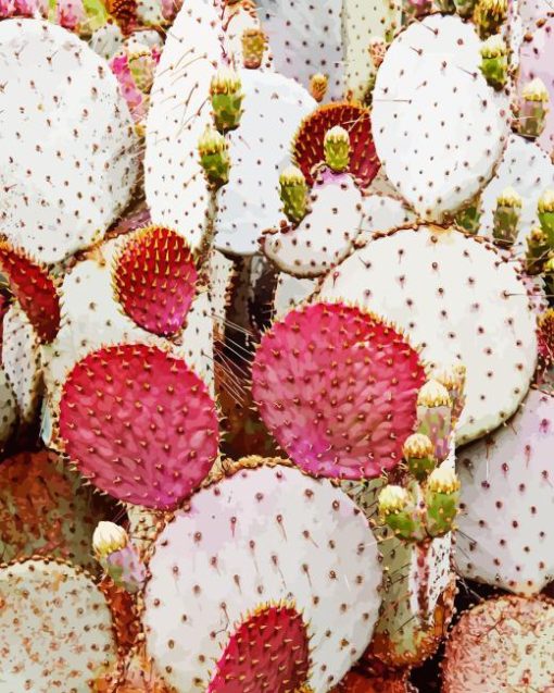 Prickly Pears Diamond Painting