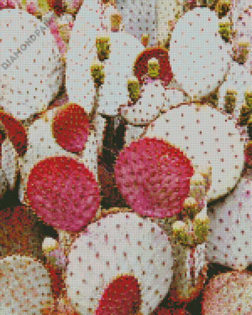 Prickly Pears Diamond Painting