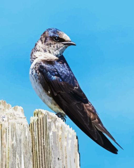 Purple Martin Diamond Painting