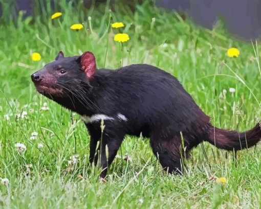 Tasmanian Devil Diamond Painting