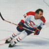 The Flower Guy Lafleur Diamond Painting