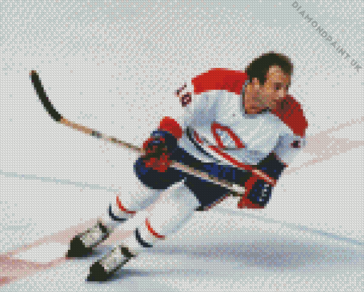 The Flower Guy Lafleur Diamond Painting