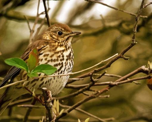 Thrush Bird On Stick Diamond Painting