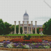 University Of Missouri Columbia Diamond Painting