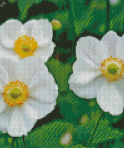 White Anemones Plants Diamond Painting