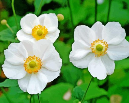 White Anemones Plants Diamond Painting