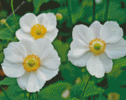 White Anemones Plants Diamond Painting