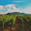 Wine Tours Moravia Diamond Painting