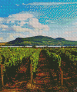 Wine Tours Moravia Diamond Painting