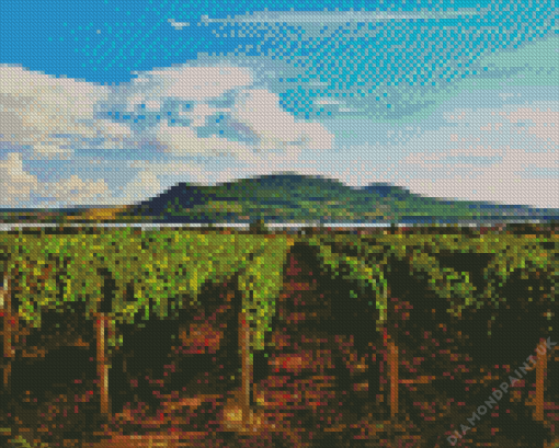 Wine Tours Moravia Diamond Painting