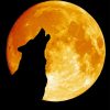 Wolf With Moon Silhouette Diamond Painting