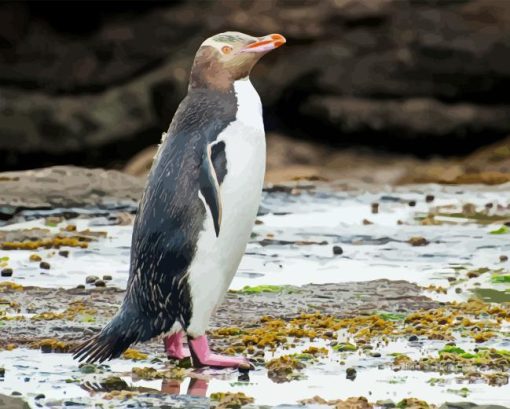 Yellow Eyed Penguin Diamond Painting