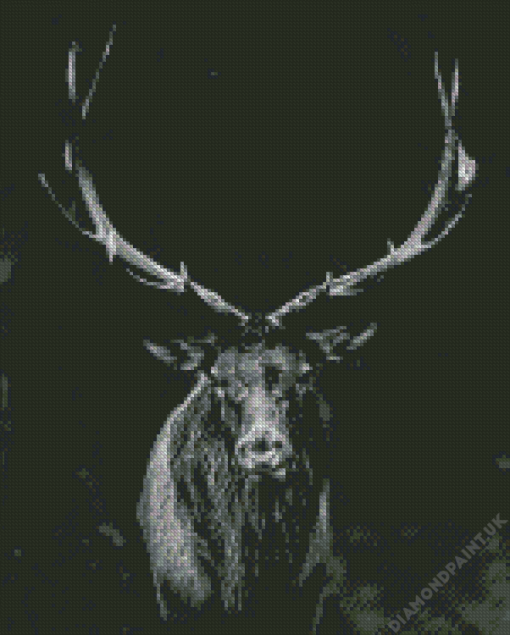 Black And White Elk Diamond Painting