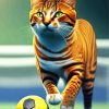 Cat Playing Football Diamond Painting