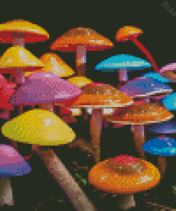 Colorful Mushroom Diamond Painting